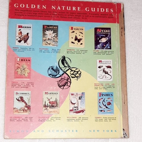 1952 Golden Book Disney Seven Dwarfs Find A House - Picture 3 of 3